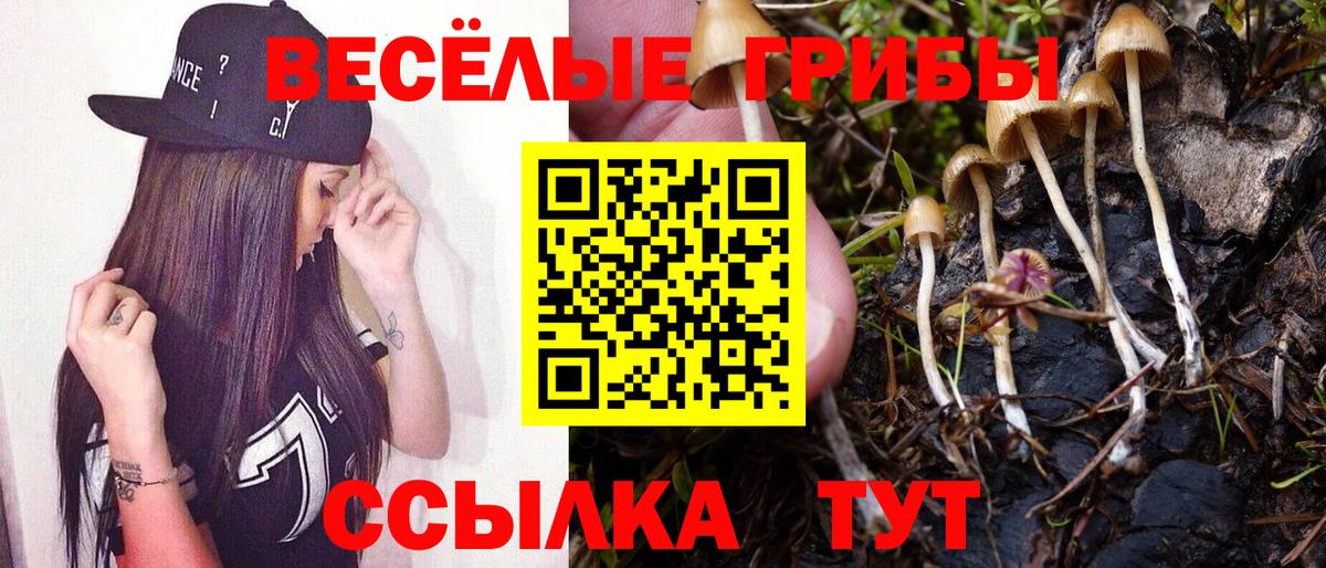 Галлюциногенные грибы GOLDEN TEACHER Королёв
